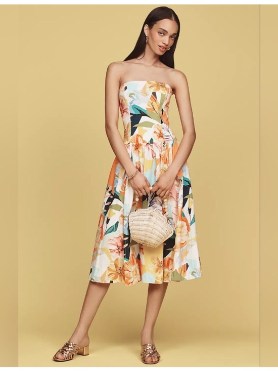 Anthropologie Dresses & Skirts - NWT By Anthropologie Drop-Waist Midi Dress Sz L